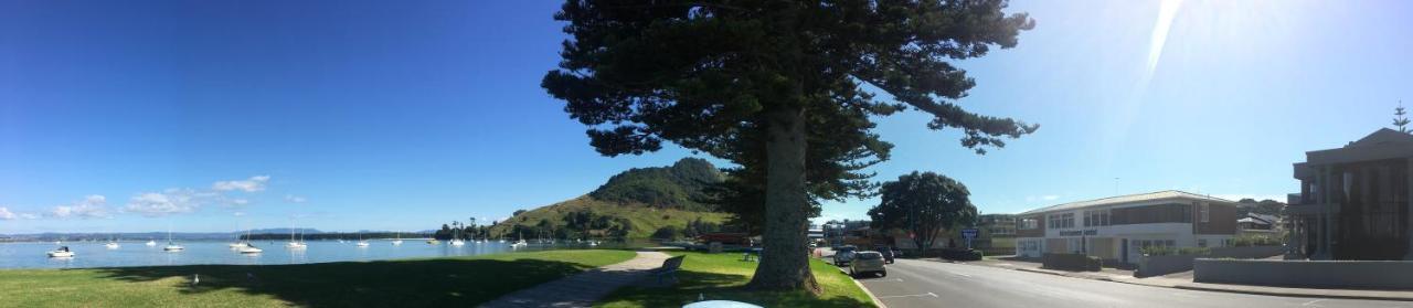 Westhaven Motel Tauranga Luaran gambar